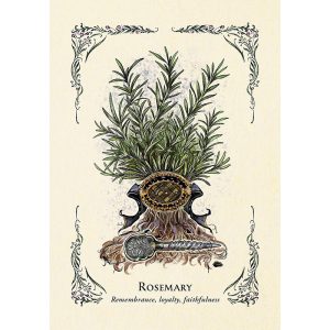 Green Witch's Oracle Deck - Ảnh 7