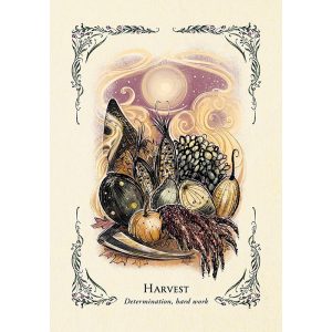 Green Witch's Oracle Deck - Ảnh 3