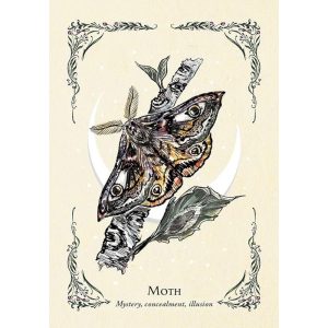 Green Witch's Oracle Deck - Ảnh 5
