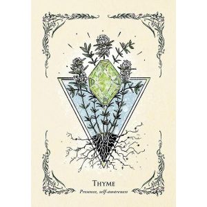 Green Witch's Oracle Deck - Ảnh 6