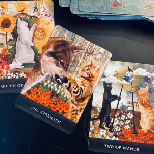 Grimalkin's Curious Cats Tarot - Ảnh 12