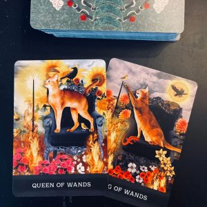 Grimalkin's Curious Cats Tarot - Ảnh 13