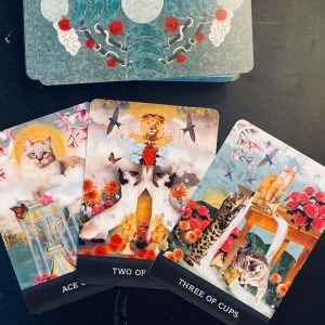 Grimalkin's Curious Cats Tarot - Ảnh 14