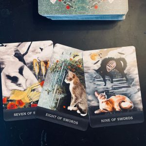 Grimalkin's Curious Cats Tarot - Ảnh 15