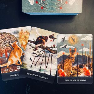 Grimalkin's Curious Cats Tarot - Ảnh 16