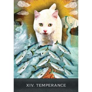 Grimalkin's Curious Cats Tarot - Ảnh 3
