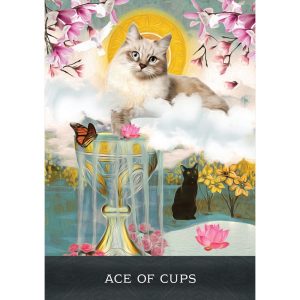 Grimalkin's Curious Cats Tarot - Ảnh 5