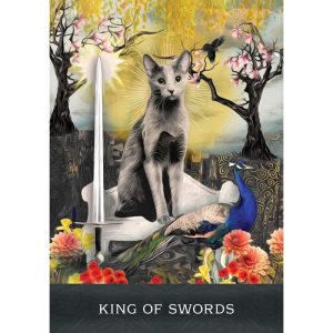 Grimalkin's Curious Cats Tarot - Ảnh 6