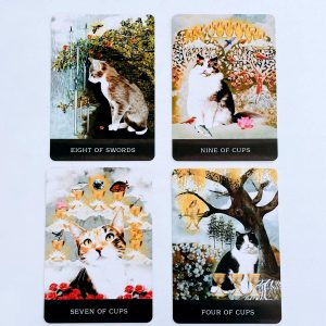 Grimalkin's Curious Cats Tarot - Ảnh 10