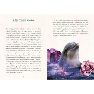 Guidance from Gaia Oracle - Ảnh 9