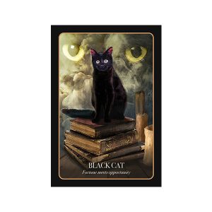 Halloween Oracle - Ảnh 5