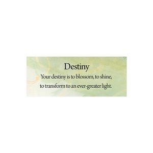 Healing Angel Cards - Ảnh 5