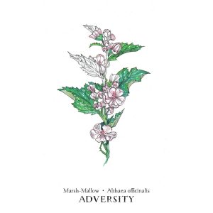 Hedgewitch Botanical Oracle - Ảnh 3