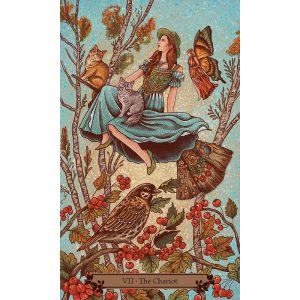 Hedgewitch Tarot - Ảnh 4