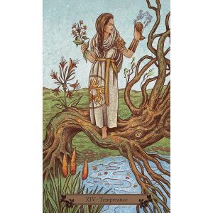 Hedgewitch Tarot - Ảnh 5