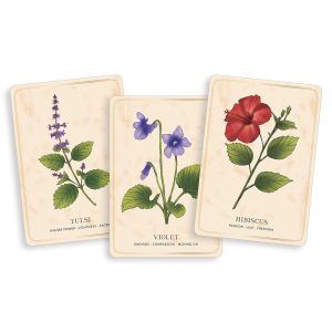 Herbal Tea Magic for the Modern Witch Oracle - Ảnh 4