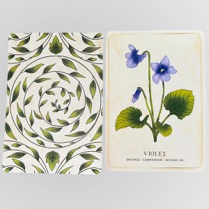 Herbal Tea Magic for the Modern Witch Oracle - Ảnh 5