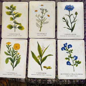 Herbal Tea Magic for the Modern Witch Oracle - Ảnh 6
