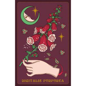 Herbarium Oracle Cards - Ảnh 3
