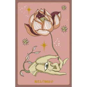 Herbarium Oracle Cards - Ảnh 4