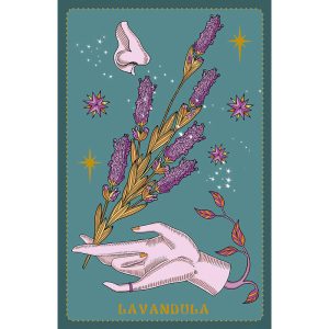 Herbarium Oracle Cards - Ảnh 5