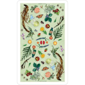 Herbcrafter’s Tarot - Ảnh 12