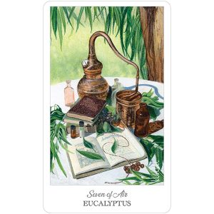 Herbcrafter’s Tarot - Ảnh 5