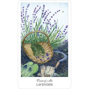 Herbcrafter’s Tarot - Ảnh 6