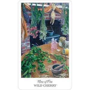 Herbcrafter’s Tarot - Ảnh 9