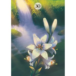 Herbs and Plants Lenormand - Ảnh 6