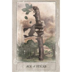 Hoodoo Tarot - Ảnh 8