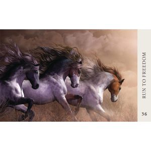 Horse Wisdom Oracle - Ảnh 3