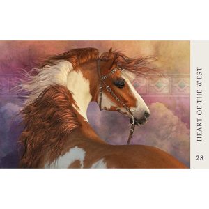 Horse Wisdom Oracle - Ảnh 5