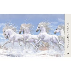 Horse Wisdom Oracle - Ảnh 6