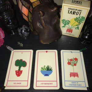 Houseplant Tarot - Ảnh 11