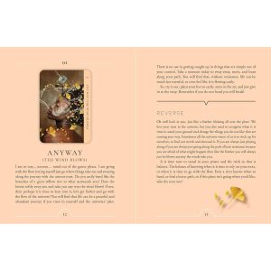 Human Spirit Oracle - Ảnh 14