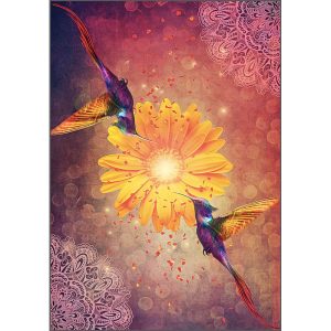 Hummingbird Wisdom Oracle - Ảnh 6