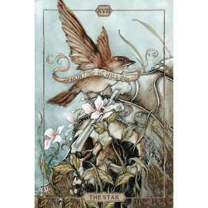 Hush Tarot - Ảnh 4