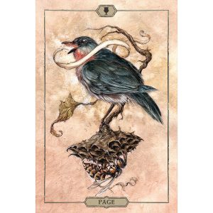 Hush Tarot - Ảnh 6