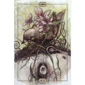 Hush Tarot - Ảnh 9