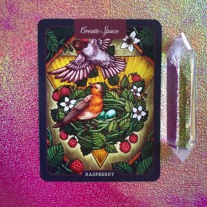 Illustrated Herbiary Collectible Box Set - Ảnh 13