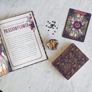 Illustrated Herbiary Collectible Box Set - Ảnh 17