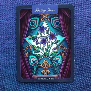 Illustrated Herbiary Collectible Box Set - Ảnh 4