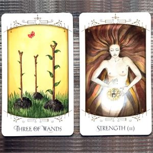Insight Tarot - Ảnh 3