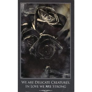 Inspirations for Survivors - Ảnh 3