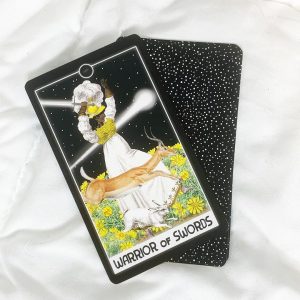 Intuitive Night Goddess Tarot - Ảnh 14