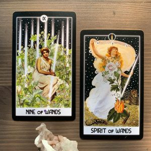 Intuitive Night Goddess Tarot - Ảnh 15