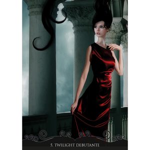 Journey of a Lonely Soul Oracle - Ảnh 8