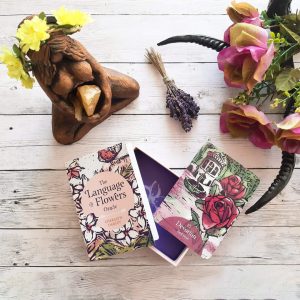 Language of Flowers Oracle - Ảnh 13