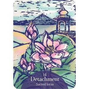 Language of Flowers Oracle - Ảnh 8
